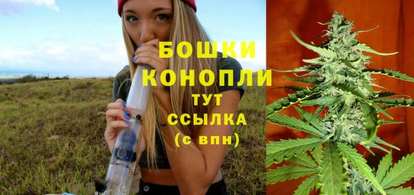 индика Верхнеуральск
