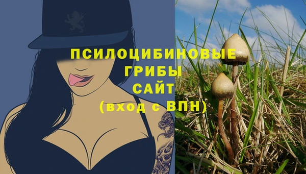 герыч Бородино