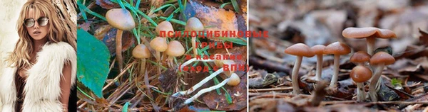 марихуана Верея
